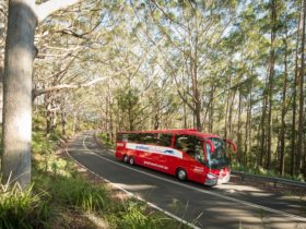 Luxury Coach travel City, Coast, Country.