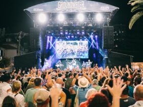 The festival crowd at the stage