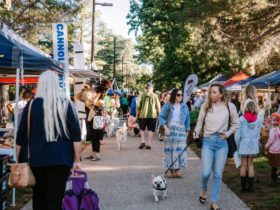 Market day with stalls and attendees