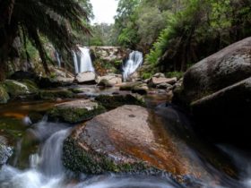 Halls Falls