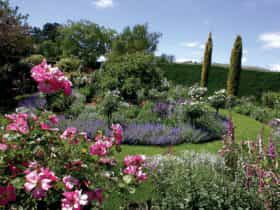 Prospect Villa & Garden