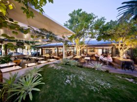 outdoor area