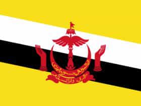 Flag of Brunei Darussalam