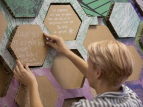 Hive Mind at MoAD