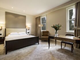 Park Deluxe Room