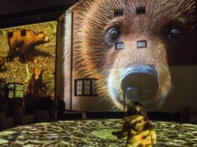 A Marsican Brown Bear projected onto the Old Gaol at Boola Bardip.