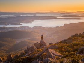 kunyani / Mt Wellington