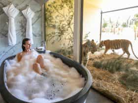 Tiger bath