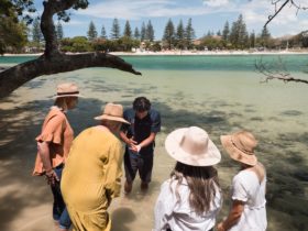 Jellurgal Walkabout Tour