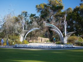Kings Park Free Guided Walks