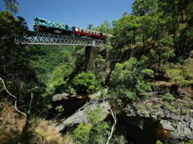 Kuranda Scenic Railway crossing over bridge