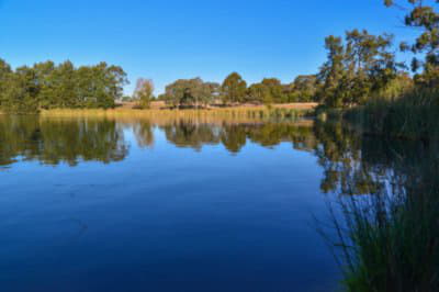 Things to do in The Australian Capital Territory
