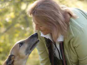 My Lévrier Collection defines my love of winemaking and advocacy for my adopted Greyhounds.