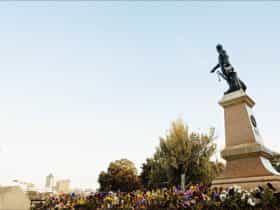 Montefiore Hill, city views, Colonel William Light