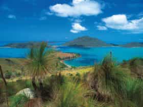 Lindeman Island
