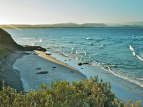 Little Wategos Beach, Cape Byron State Conservation Area. Photo: John Spencer
