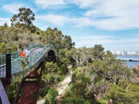 Kings Park and Botanic Garden , West Perth