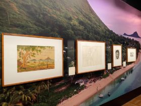 Four framed pictures hanging side by side on a wall that has a picture of an island on it.