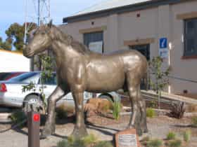 Maitland, Yorke Peninsula