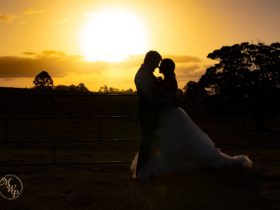 Maleny Wedding Photography