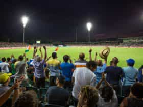 Cricket match under the lights at Manuka Oval