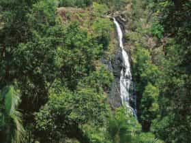 Mapleton Falls