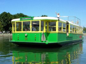 Next Stop Williamstown Fish'N'Chip cruise