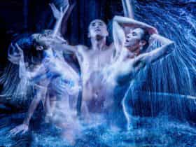 Metamorphoses