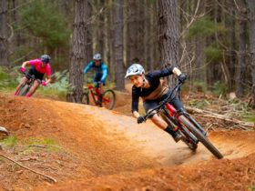 Women's skills clinics in Bright