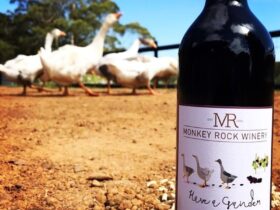 Monkey Rock Winery