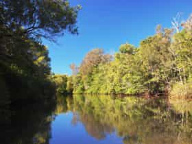 Mooloolah River