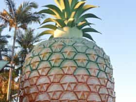 Big Pineapple