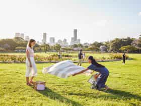 New Farm Park