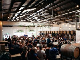 Wide shot of main winery space