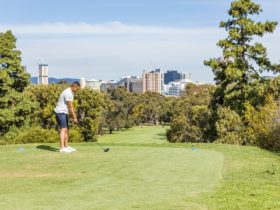 North Adelaide Golf Course