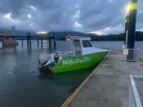 Nq hire Boats Charlie 1