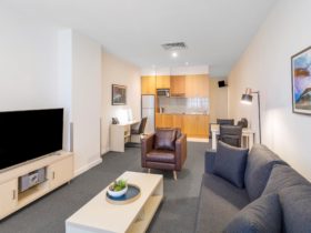 One Bedroom Apartment
