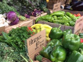Orange Grove Organic Markets