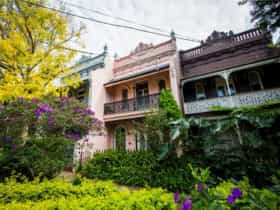 Victorian terraces throughout the leafy inner Sydney suburb of Paddington