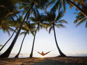 The perfect spot to hang a hammock at Palm Cove