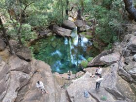 Palmerville Waterhole