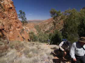 Walking up a hill