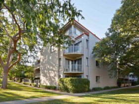 Hotel exterior surrounded by big leafy trees