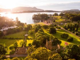 Award winning Port Arthur