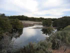 Port Clinton, Yorke Peninsula