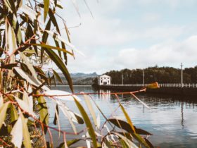 Pumphouse Point Tasmania