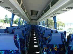 Tour Coach