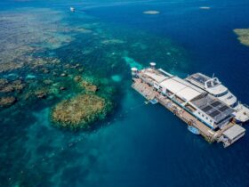 Pontoon Great Barrier Reef