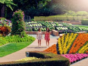 Spectacle Garden