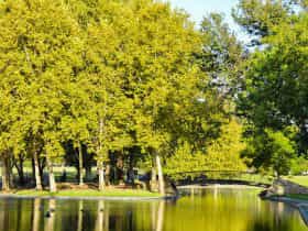 park lands playground